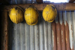 SEDDK'ten maden çalışanlarının kaza sigortası tarifesine güncelleme