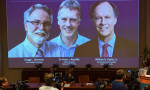 2019 Nobel Tıp Ödülü'nün sahipleri belli oldu