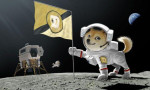İlk kripto roketi DOGE-1 Ay'a gidecek