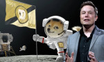 Musk, Dogecoin'i Ay'a gönderdi! Fiyatı yüzde 25 yükseldi