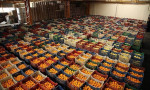 Türkiye'nin yaş meyve ve sebze ihracatını geçen yıl 5 ürün sırtladı