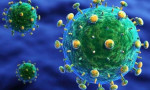 HIV, öldürücü hücreler tarafından tuzağa düşürülebilir