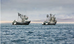 Yasadışı balıkçılık milyarlarca dolar zarara yol açıyor