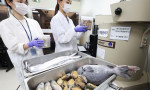 Okullarda verilen deniz ürünlerine radyasyon testi