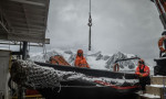 Türk bilim ekibi Antarktika'ya ulaştı