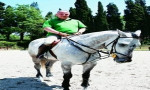 Bülent Bora: Atlar lider yetiştirir 