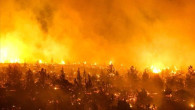 Şili'de orman yangınları 22 can aldı