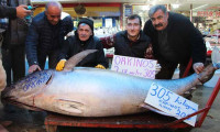 Sivas'ta 305 kiloluk balık