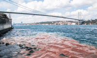 İstanbul Boğaz'ı kan gölüne döndü!