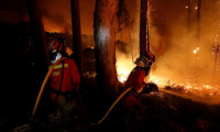 Portekiz'de orman yangını: 27 ölü