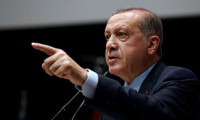 Türk vatandaşlarının köpekle aranması Erdoğan'ı çıldırttı: Ya sen insan değil misin