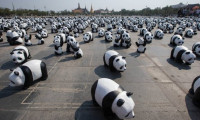 Yatırımda Panda Tahviller modası