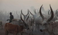 Sığır hırsızları kabileye saldırdı: 40 ölü