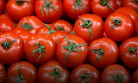 Rusya, Türk domatesinin kotasını arttırabilir