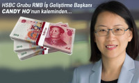 Küreselleşmede yeni aşama: Renminbi