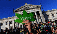 Uruguay eczanelerde esrar satacak