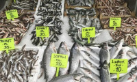 Balık fiyatları Ramazan'da düştü