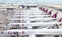 Katar uçakla inek taşıyacak