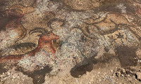 Tarlada çalışırken 1600 yıllık mozaik buldular