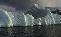 Antarktika'da dev buzul kopuyor