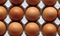 Yumurta fiyatları yılın en düşük seviyesinde