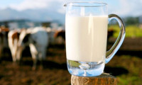 Rusya Türk sütünü sınırlandırabilir