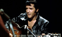 Elvis Presley geçen yıl 27 milyon dolar kazandı