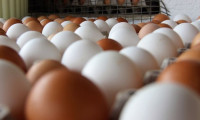 En yüksek artış yumurta fiyatlarında yaşandı