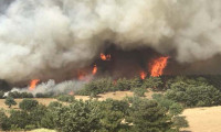 Pakdemirli: Orman yangını başına zarar gören alan azaldı