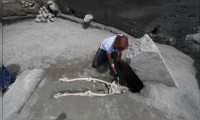 Pompei'de yeni bir insan iskeleti bulundu