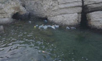 Şile'yi tatilciler çöpe boğup gitti