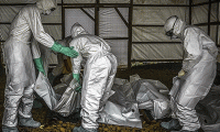 KDC'de Ebola ölümleri hızlandı