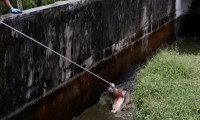 Kadın yiyen katil timsaha 3 saat süren yakalama operasyonu