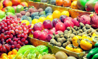 Meyve ve sebze ihracatı yüzde 14 arttı