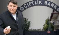 Mehmet Aydın, Interpol'un en çok arananlar listesinde