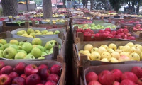 Barış Pınarı Harekatı'na 30 ton elma