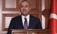 Çavuşoğlu şikayet etti, Avazyan gözaltına alındı