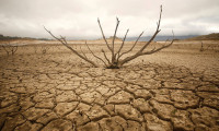 BM: Güney Afrika'da 45 milyon kişi 6 ay içinde kıtlık tehlikesi yaşayacak
