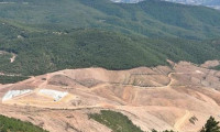 Kaz Dağları’nda binlerce ağaç kesen o şirketin faaliyeti durduruldu