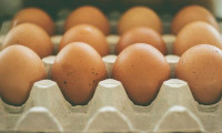İddia üzerine 41 yumurta yiyen kişi öldü