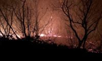 Karadeniz'deki yangınlarda son durum