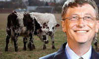 Bill Gates küresel ısınmanın sorumlusunu buldu