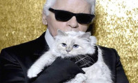 Lagerfeld'in 200 milyon dolarlık mirası kedisine kalabilir