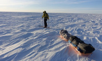 Turistler rotayı Antarktika'ya çevirdi