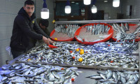 Av yasağı nedeniyle tezgahlardaki balık fiyatları yükseldi