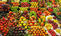 Yaş meyve sebze ihracatı 509 milyon dolar oldu
