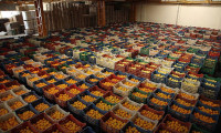 Türkiye'nın havayoluyla meyve sebze ihracatı artıyor
