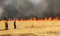 YPG/PKK yine tarlaları ateşe verdi