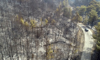 Muğla'daki orman yangını kontrol altında