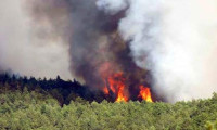 Burgazada'da ormanlık alanda yangın